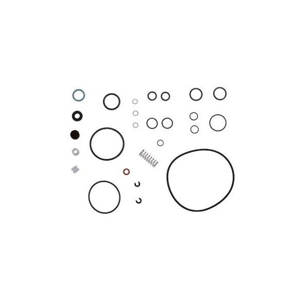 Pump Repair Parts- Kit, maint.Cl2/103-100/FKM/TFM1700, Dosing Pumps.